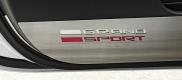 C7 Corvette, 2014-19, Grand Sport, ZDoor Guaeds 2 pcs, Stainless Steel w/Logo